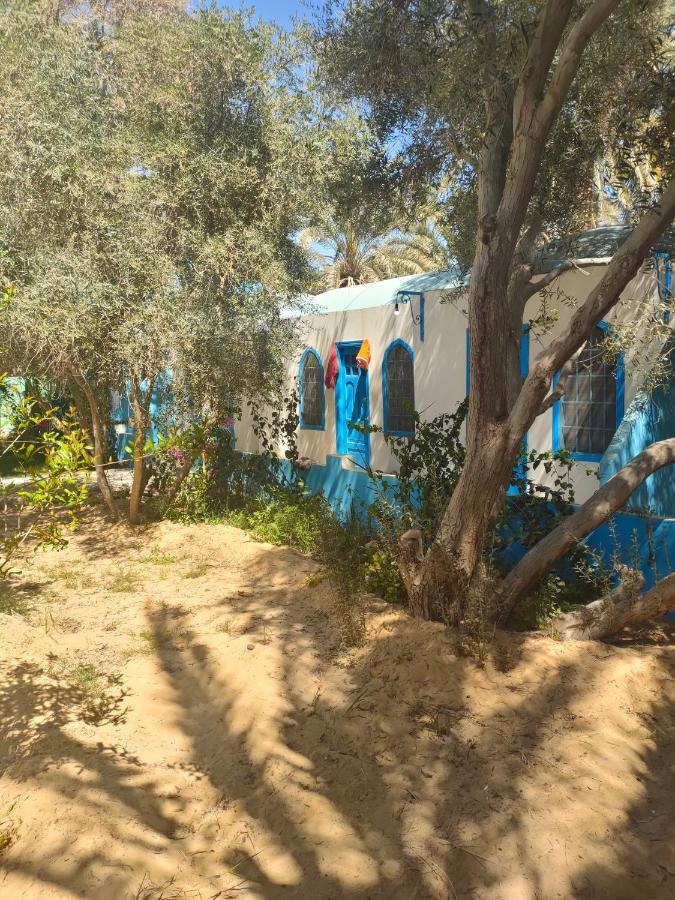 Panta Lodge Siwa بنتا لودج سيوة Siwa Oasis Ngoại thất bức ảnh