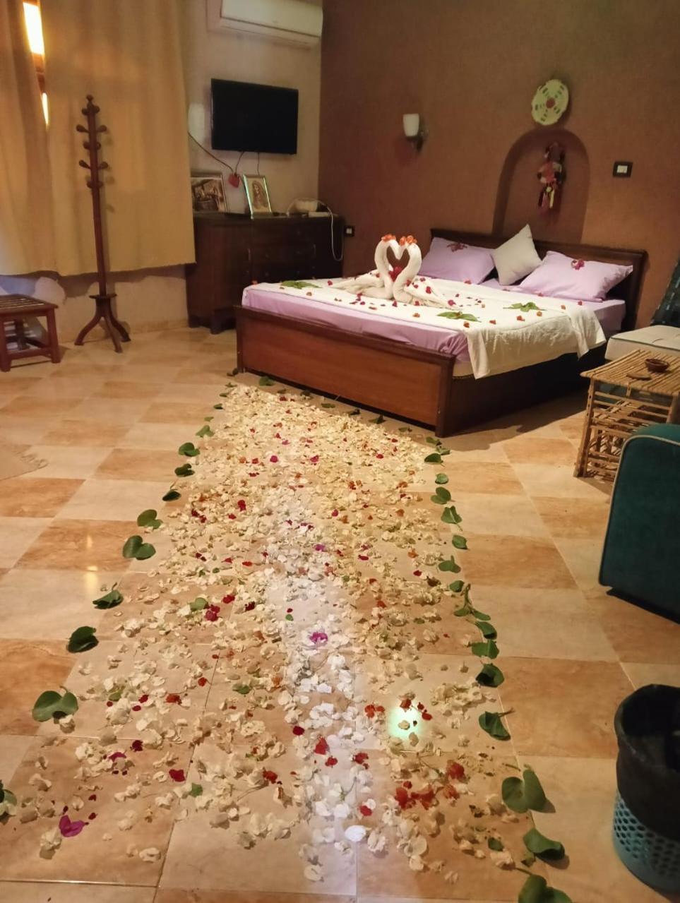Panta Lodge Siwa بنتا لودج سيوة Siwa Oasis Ngoại thất bức ảnh