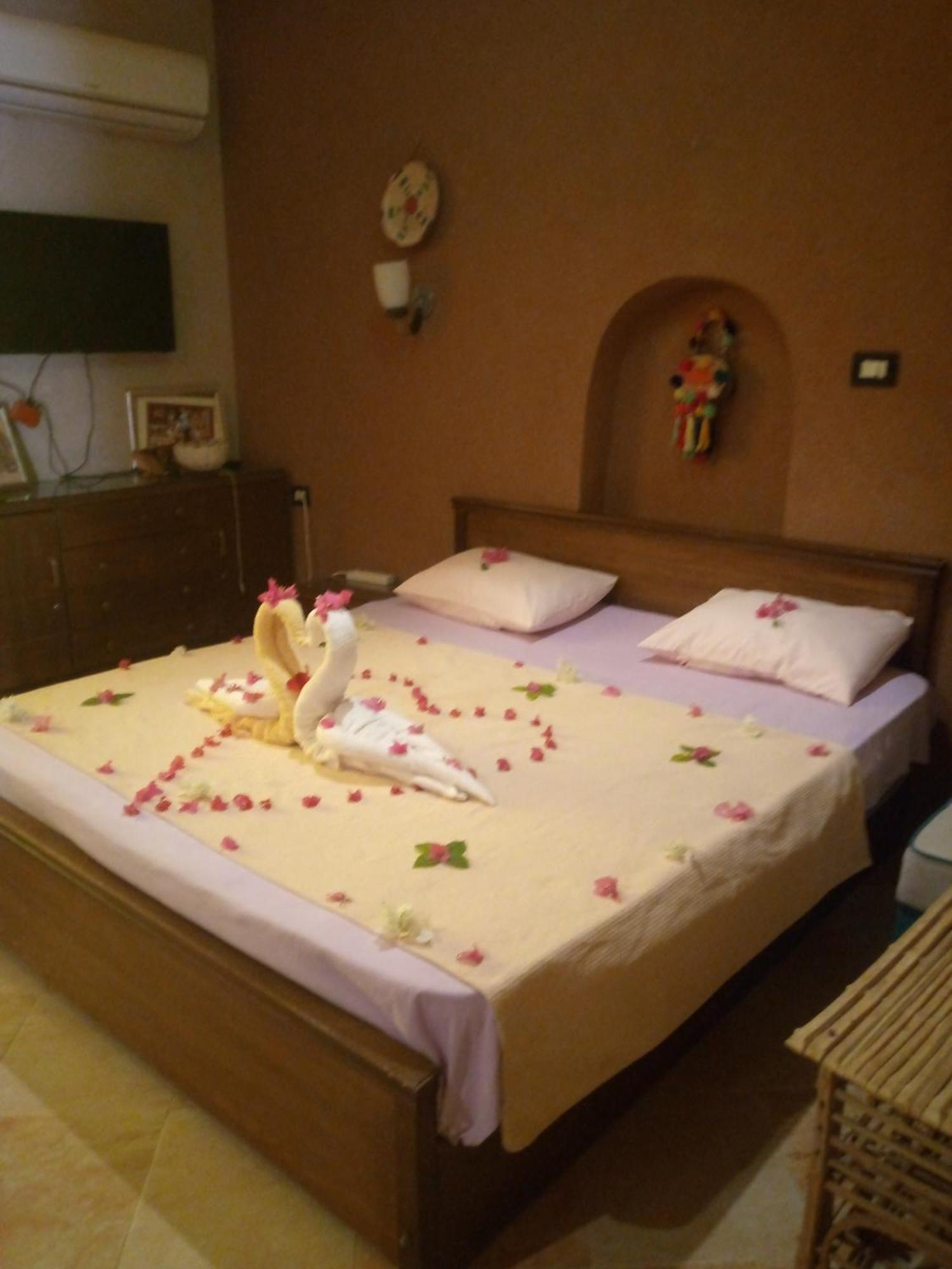 Panta Lodge Siwa بنتا لودج سيوة Siwa Oasis Ngoại thất bức ảnh