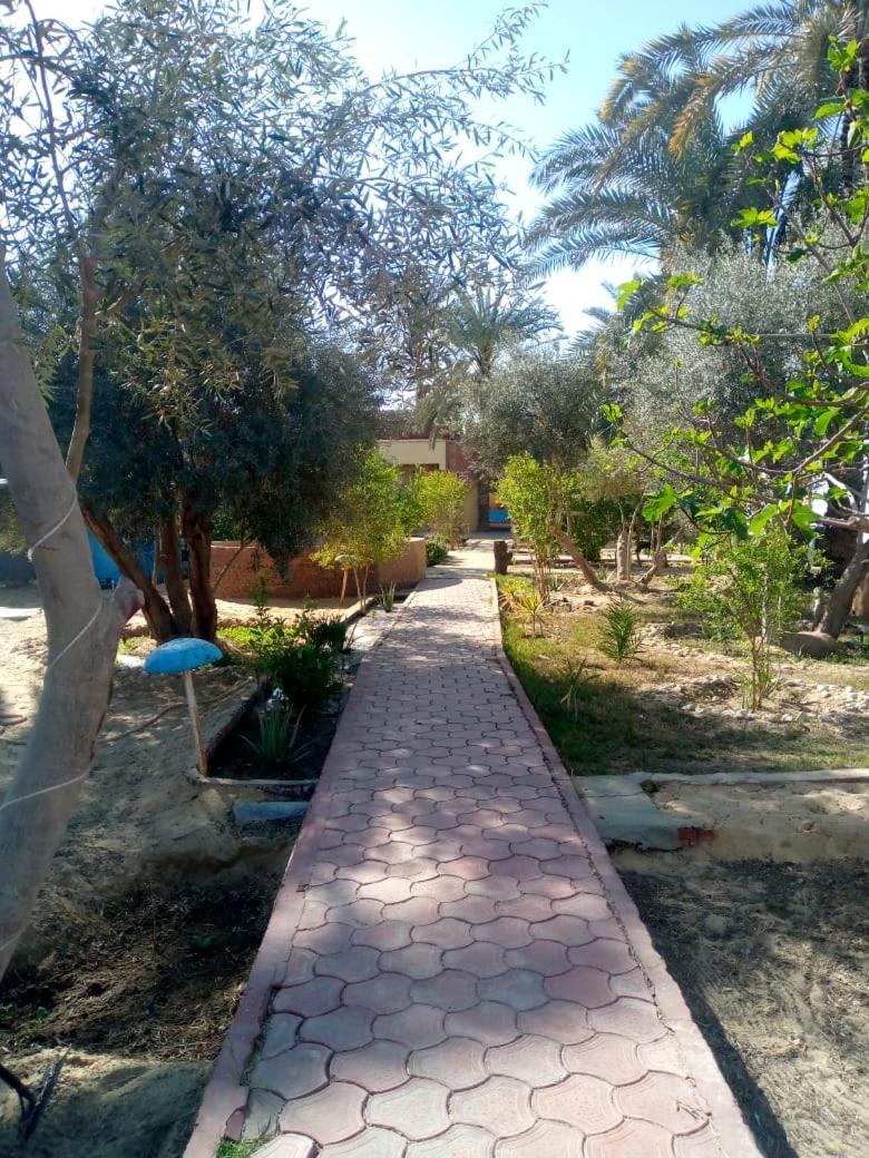 Panta Lodge Siwa بنتا لودج سيوة Siwa Oasis Ngoại thất bức ảnh