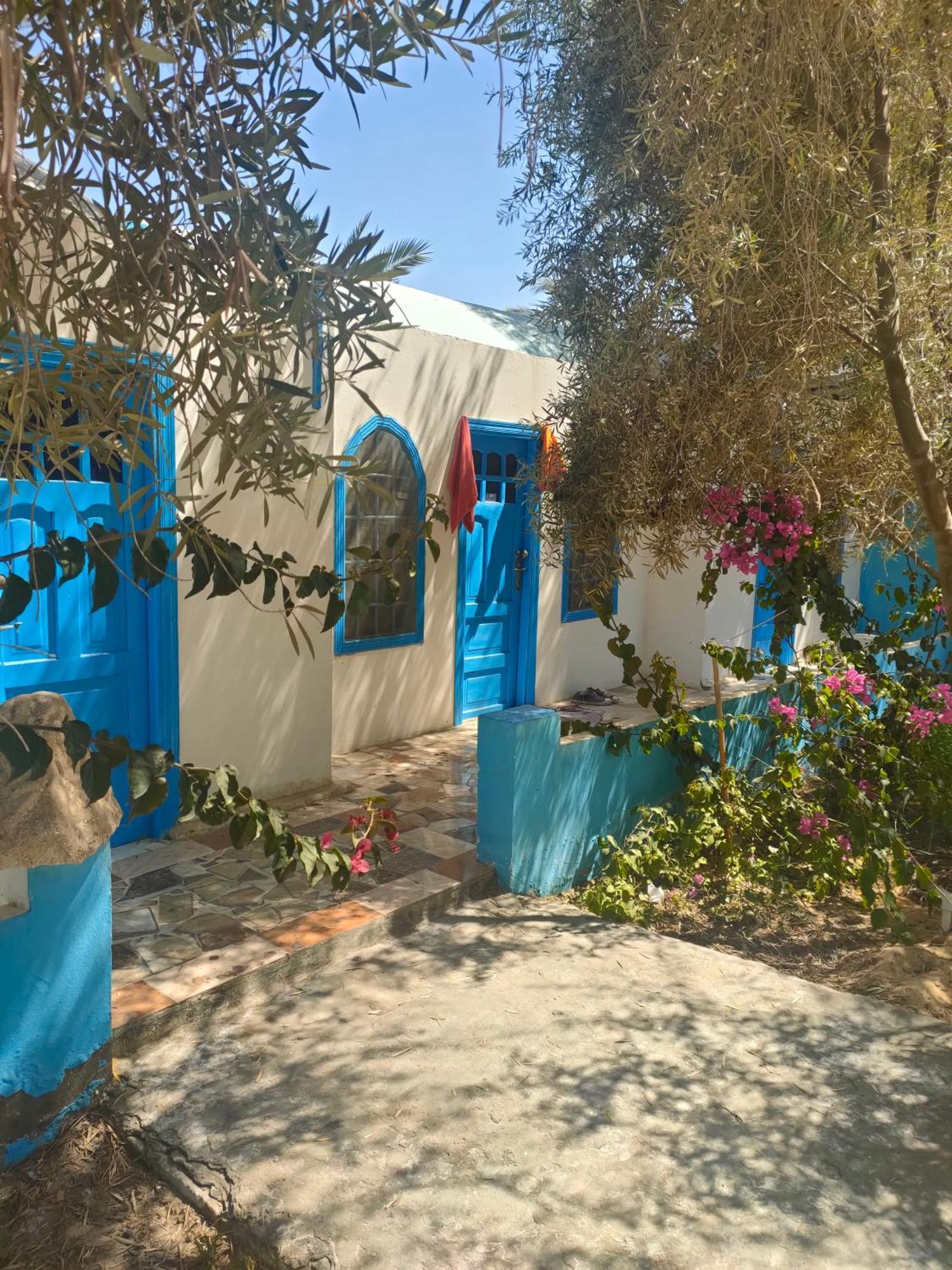 Panta Lodge Siwa بنتا لودج سيوة Siwa Oasis Ngoại thất bức ảnh